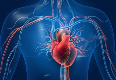 Another study clearly shows the potential cardiovascular benefits of quitting smoking with e-cigarettes.